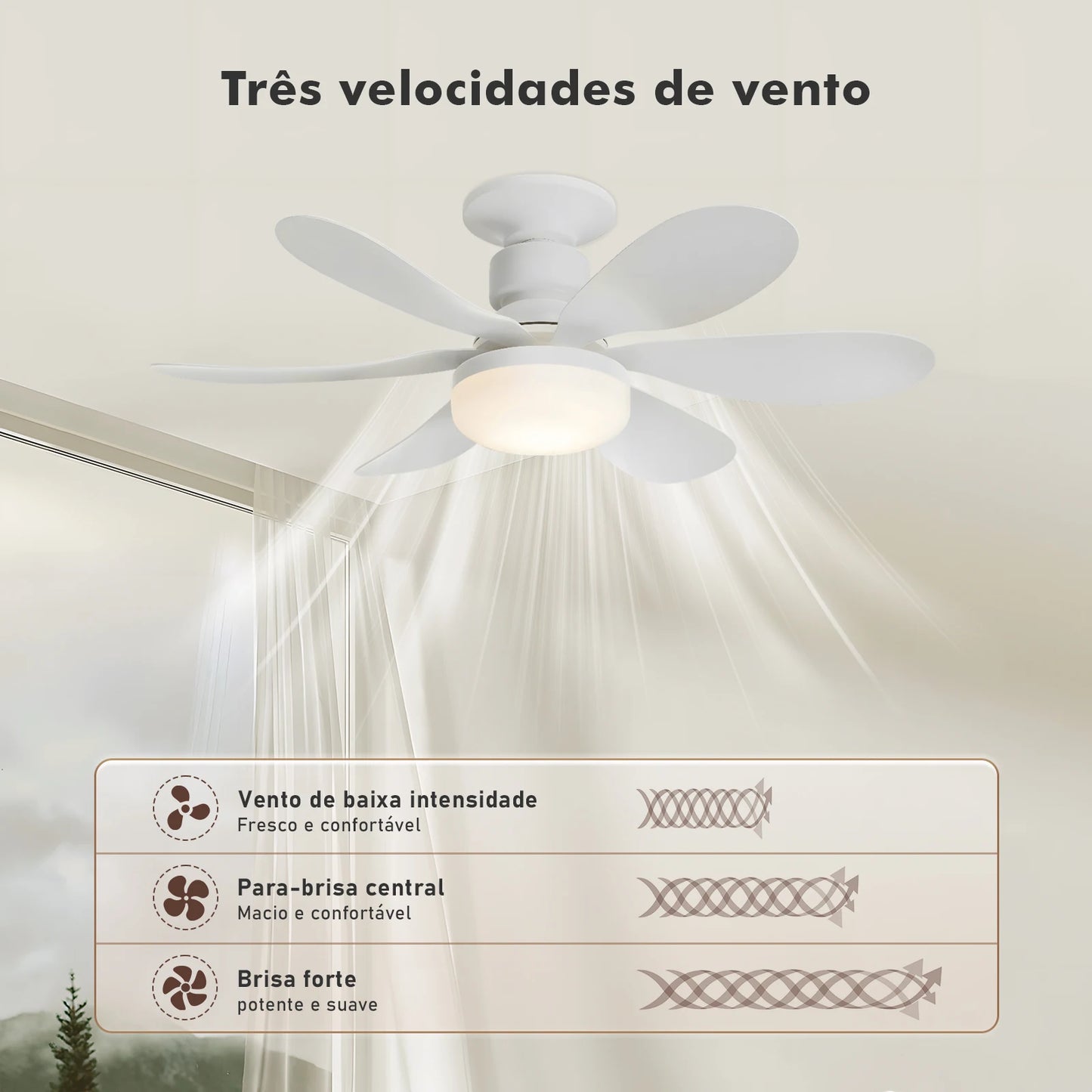 Luminária de Teto, Ventilador de Teto com Led